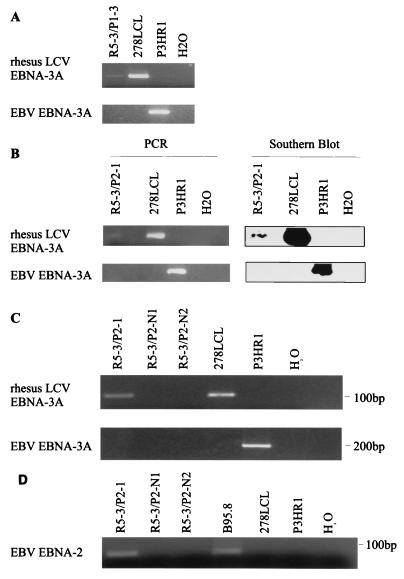 FIG. 8