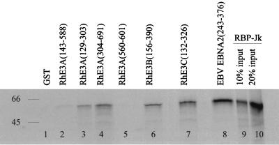 FIG. 5