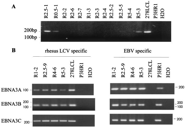 FIG. 7