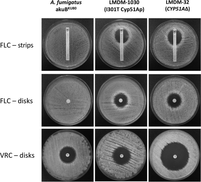 FIG 4