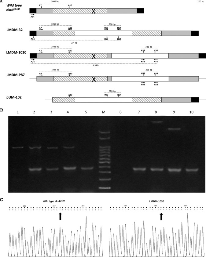 FIG 2