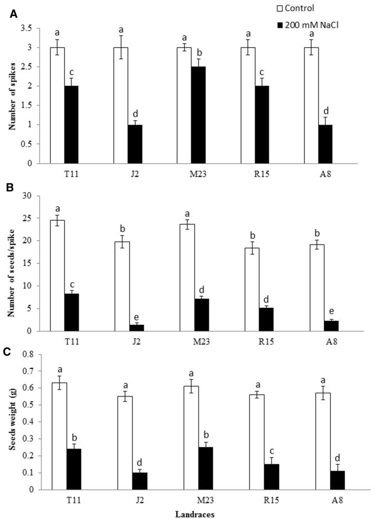 Fig. 4