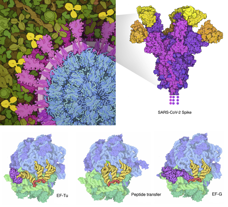 Figure 17