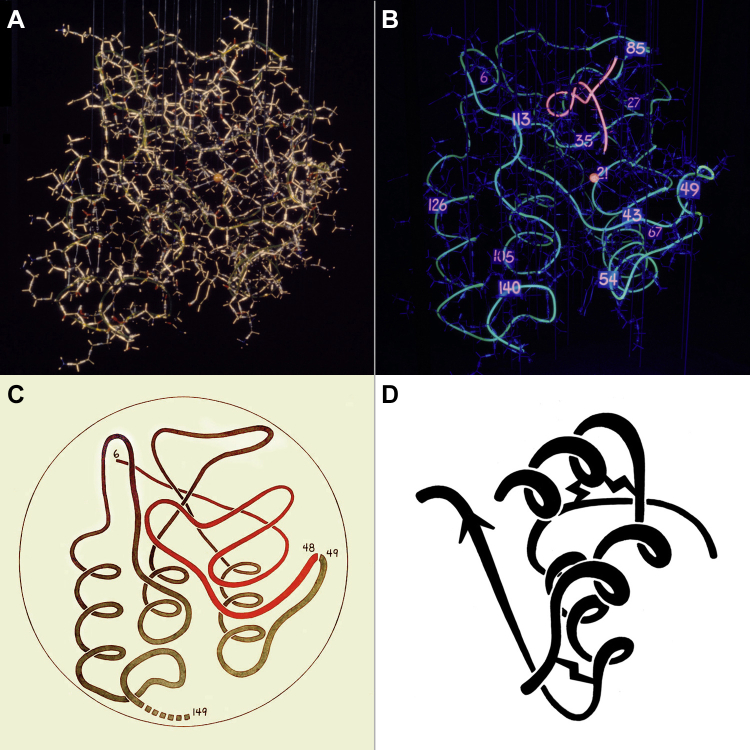 Figure 2