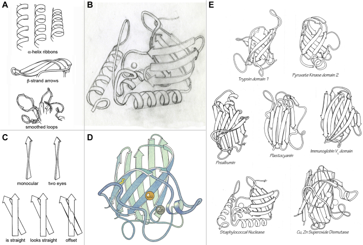 Figure 3