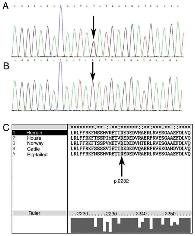 Figure 4.