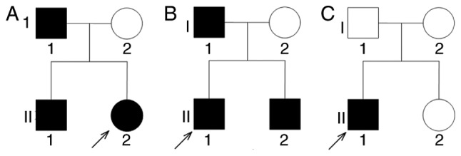 Figure 1.