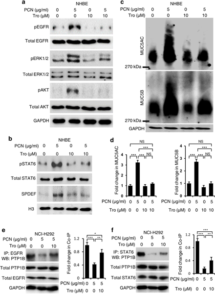 Fig. 9.