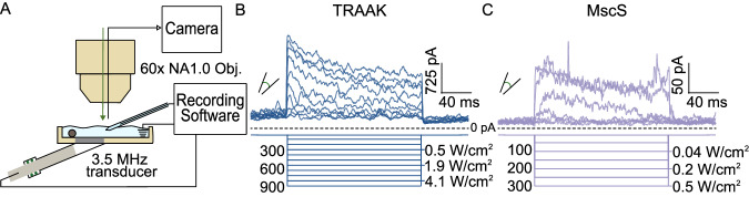 Fig. 3