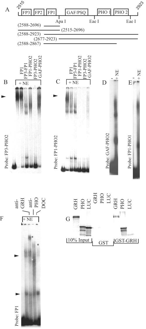 FIG. 5.