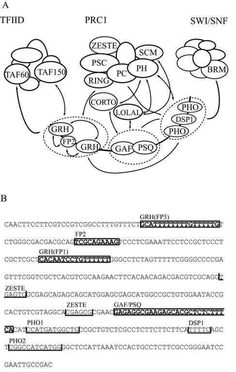 FIG. 7.