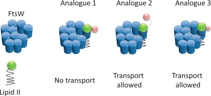 FIGURE 11.