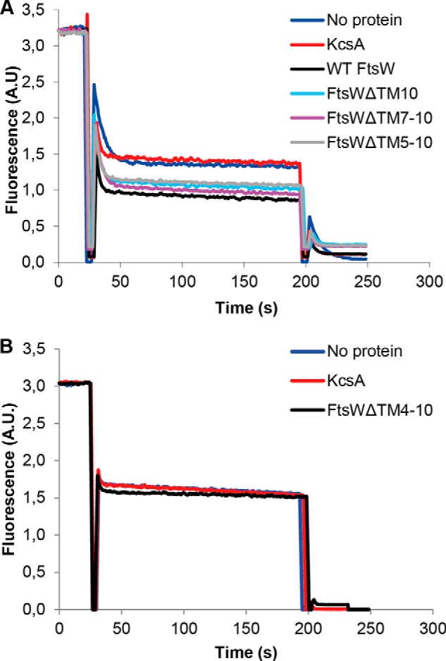 FIGURE 2.