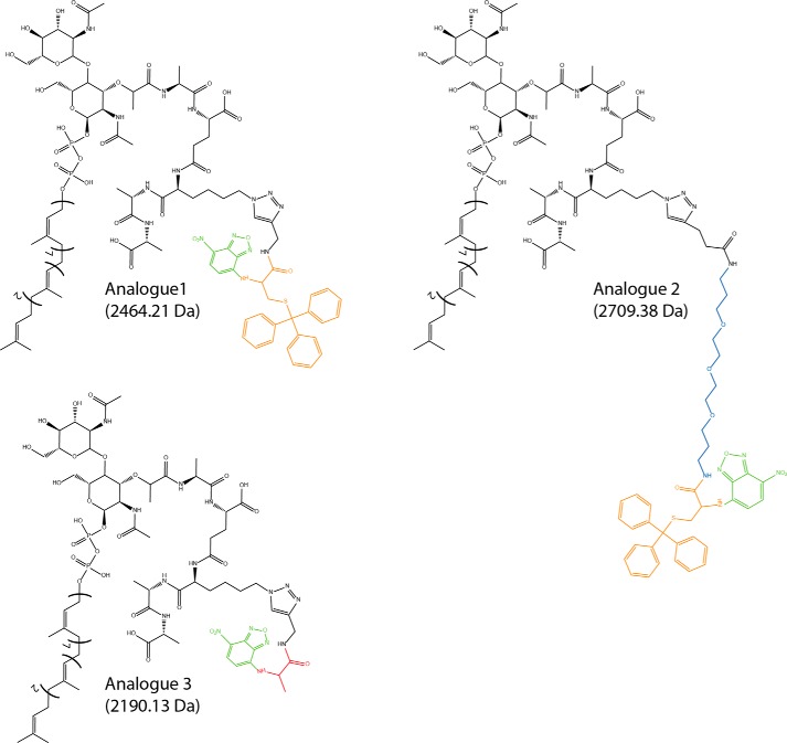 FIGURE 9.