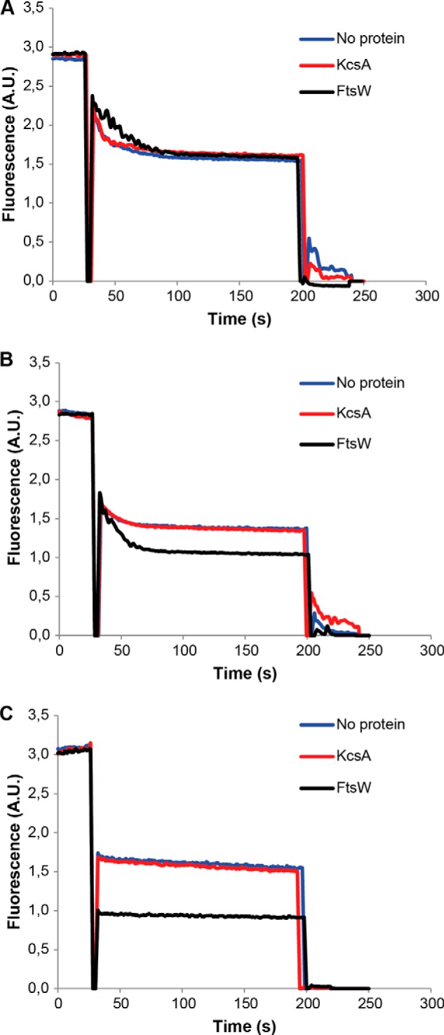 FIGURE 10.