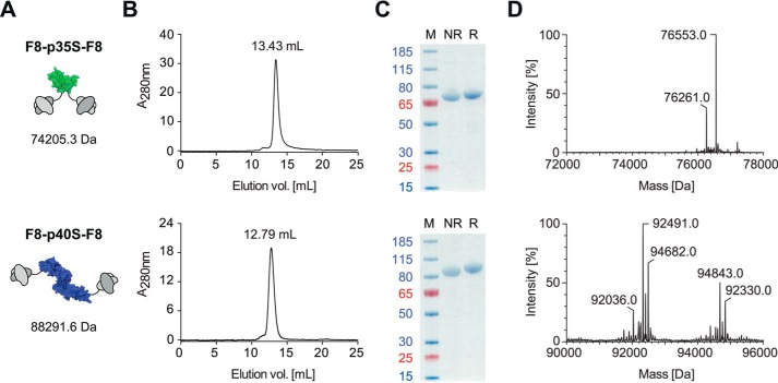 FIGURE 2.