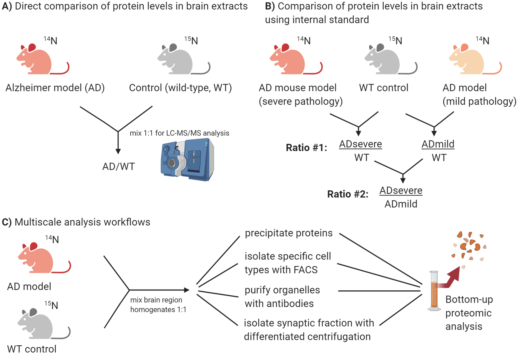 Figure 1: