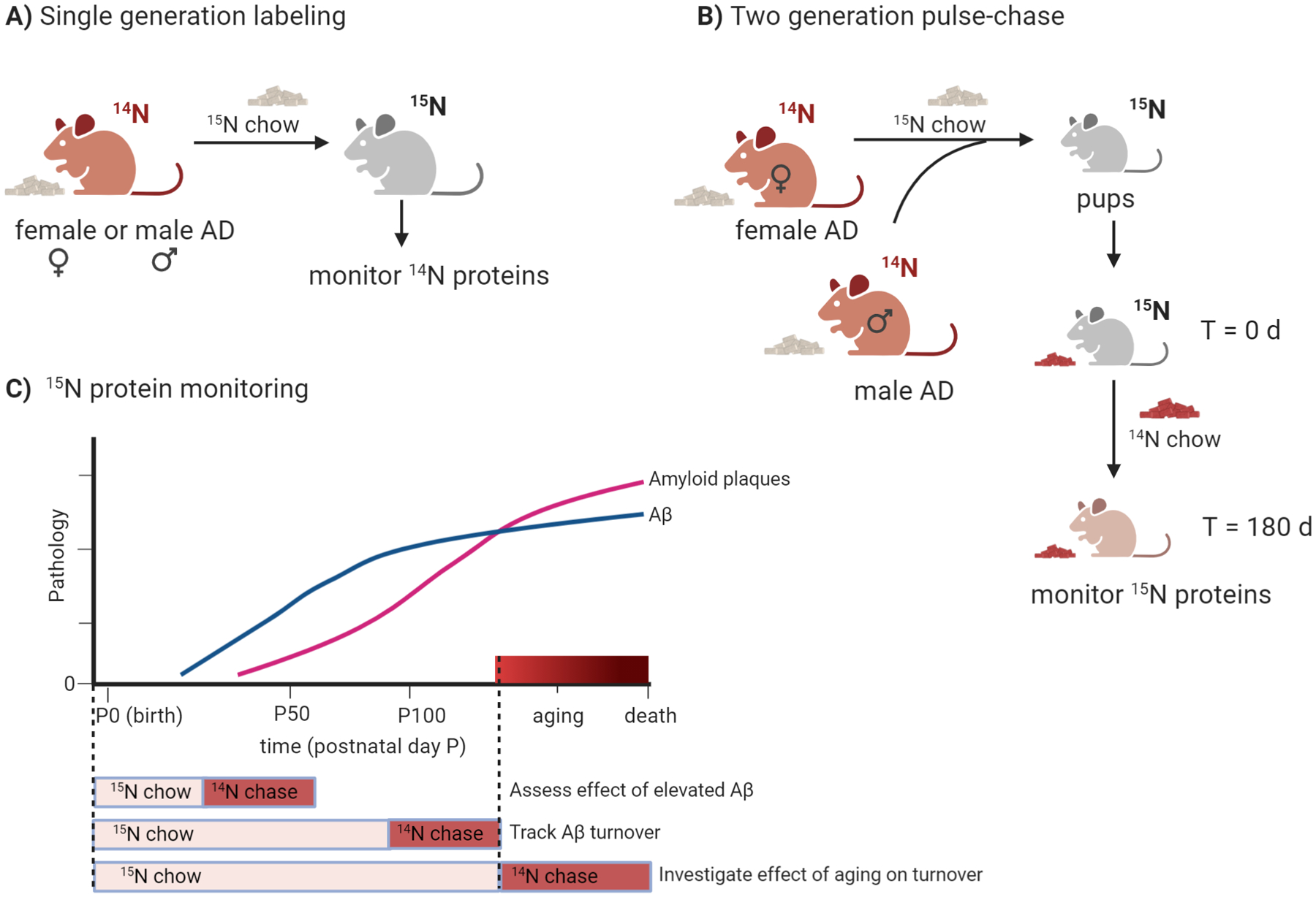 Figure 2: