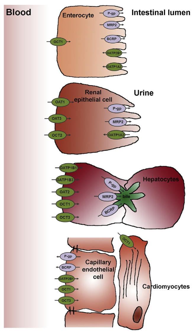 Fig. 1