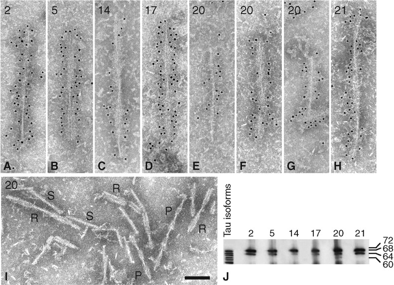 Fig. 11