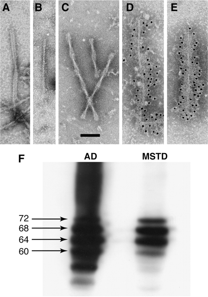 Fig. 12