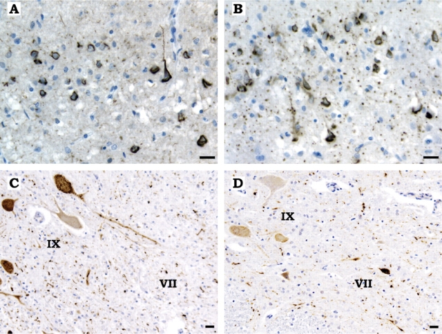 Fig. 10