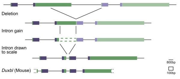 Figure 9