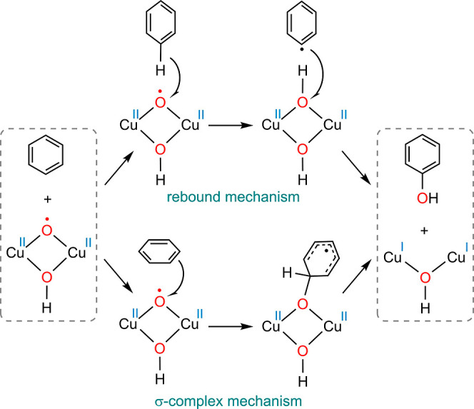 Scheme 2