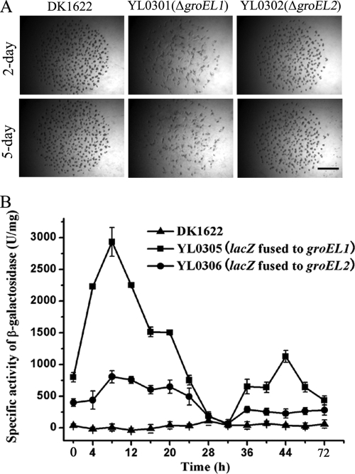 FIG. 4.