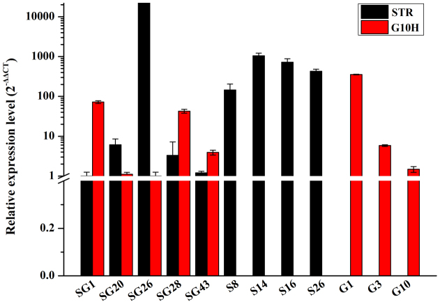 Figure 4