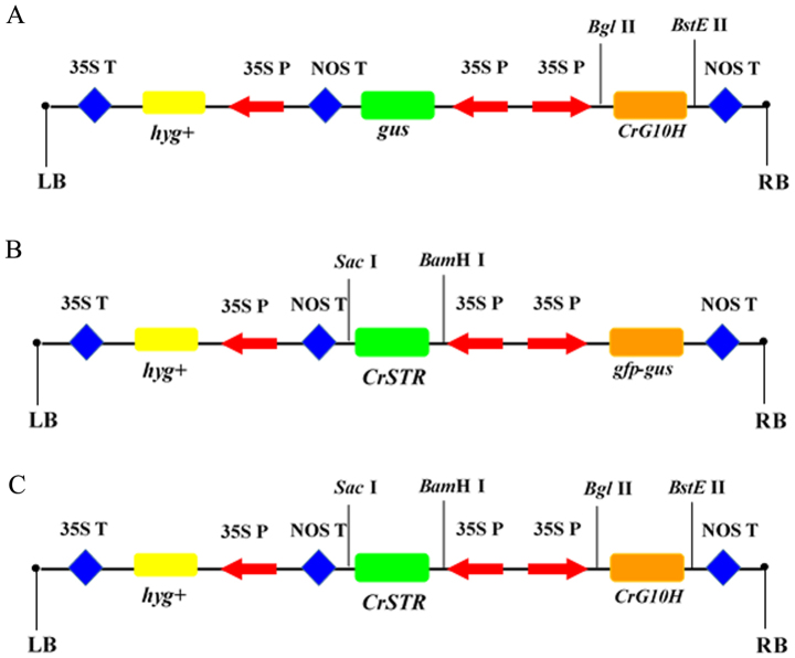 Figure 7