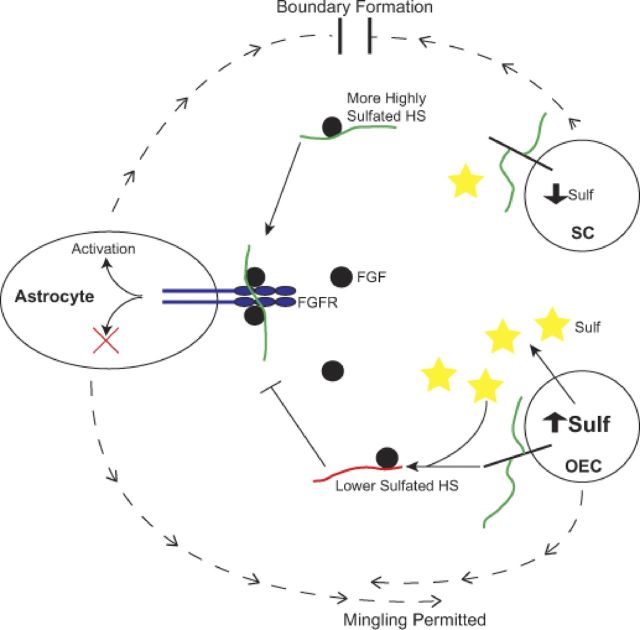 Figure 9.