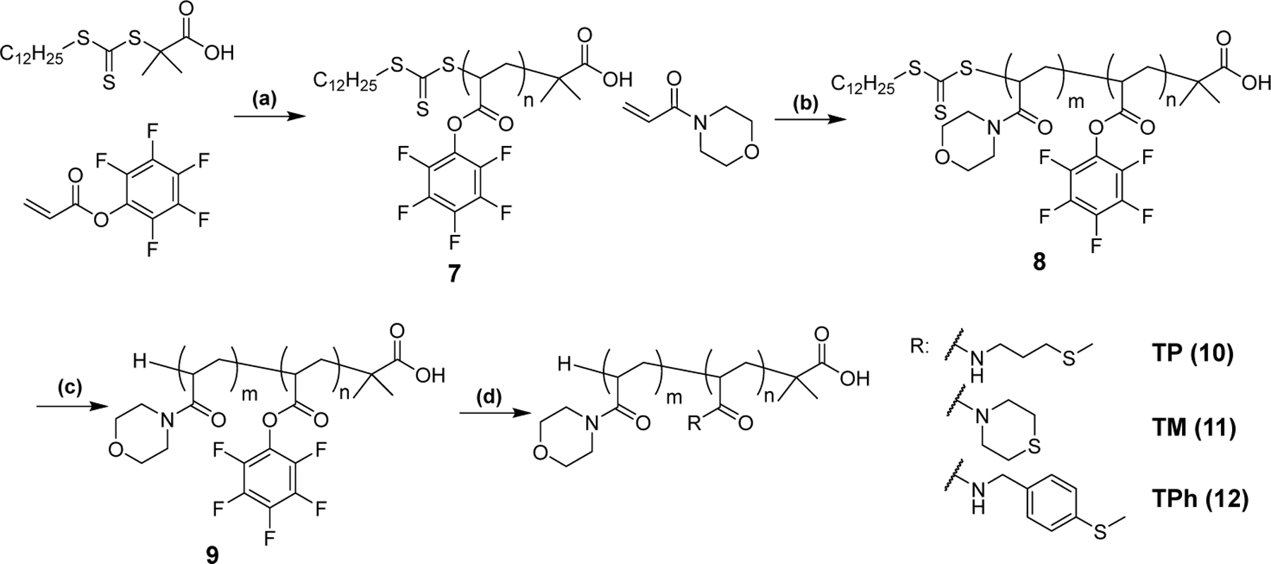 Scheme 2.