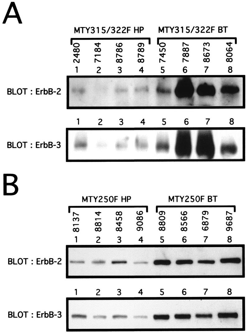 FIG. 8