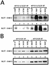 FIG. 8