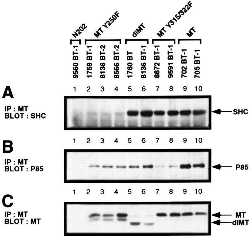 FIG. 6