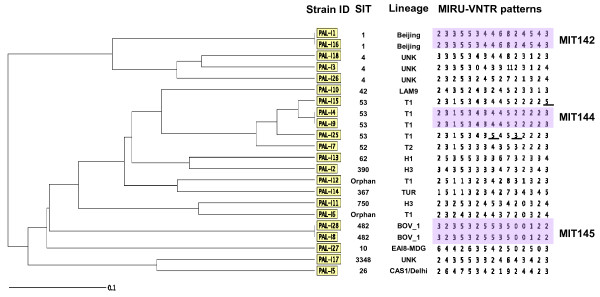 Figure 2 