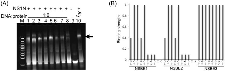 Figure 7