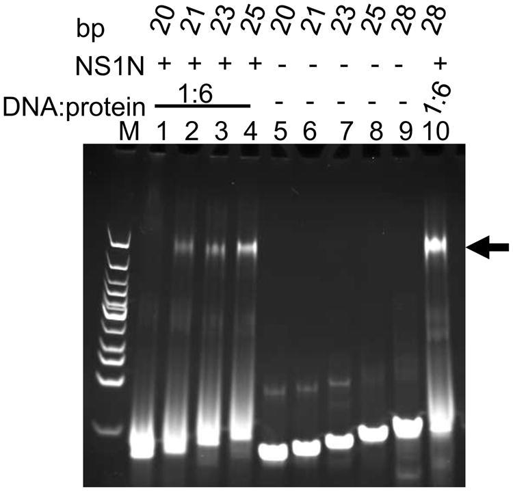 Figure 6