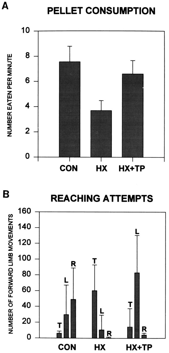 Fig. 11.