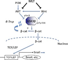 Fig. 8.