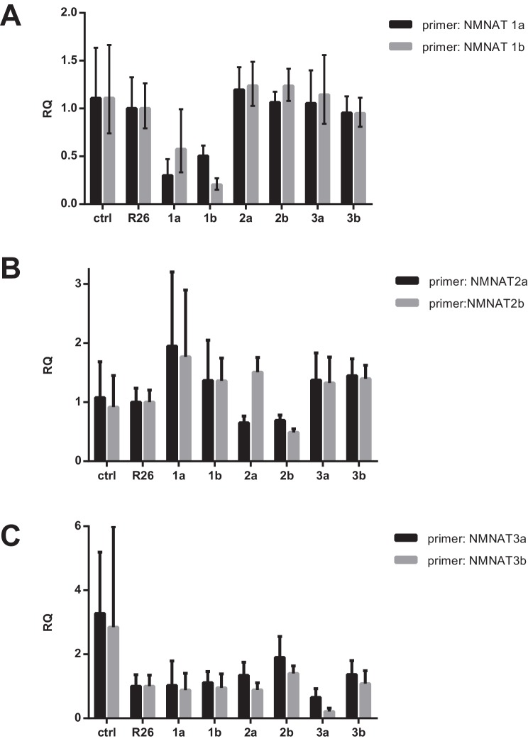 Figure 6—figure supplement 1.