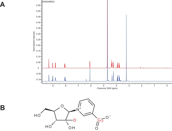 Figure 5—figure supplement 1.