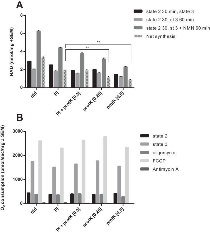 Figure 6—figure supplement 2.