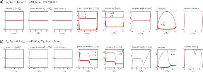 Figure 5—figure supplement 1.