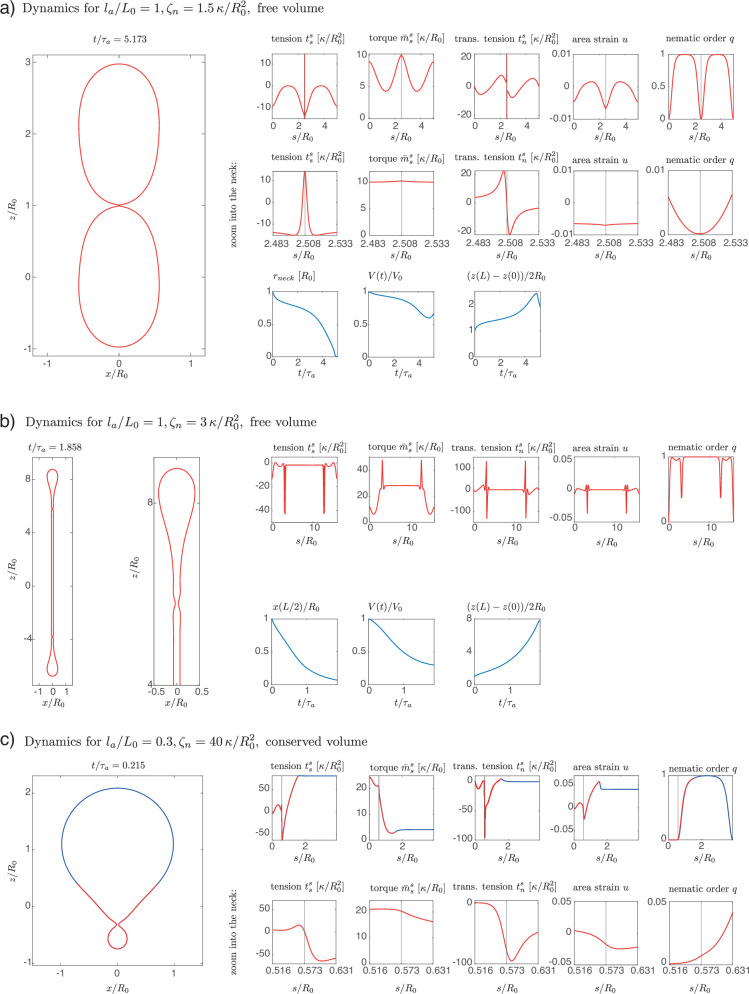 Figure 4—figure supplement 1.