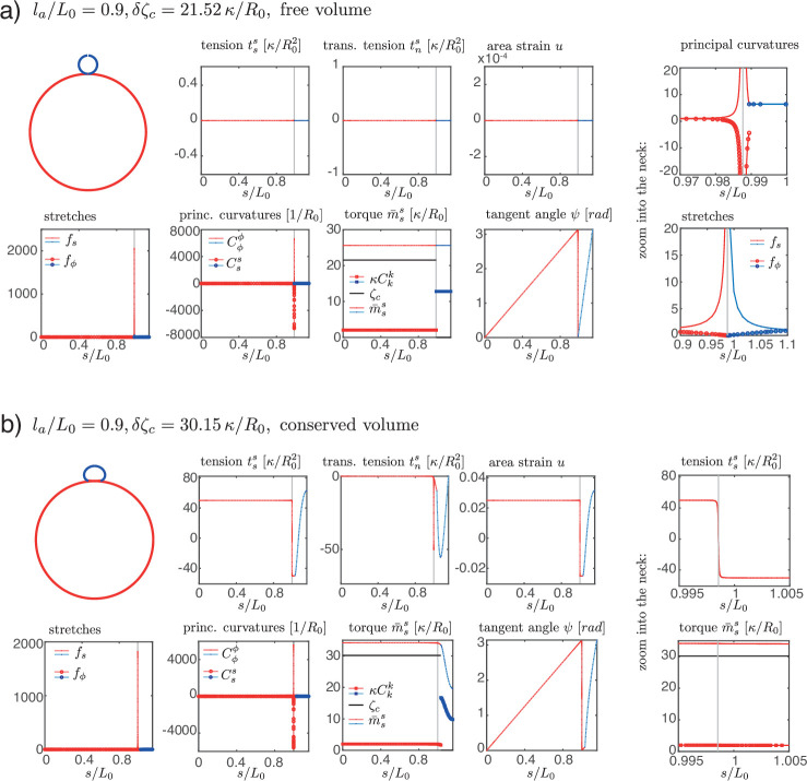 Figure 2—figure supplement 1.