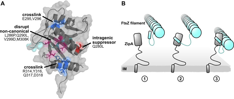 FIG 10