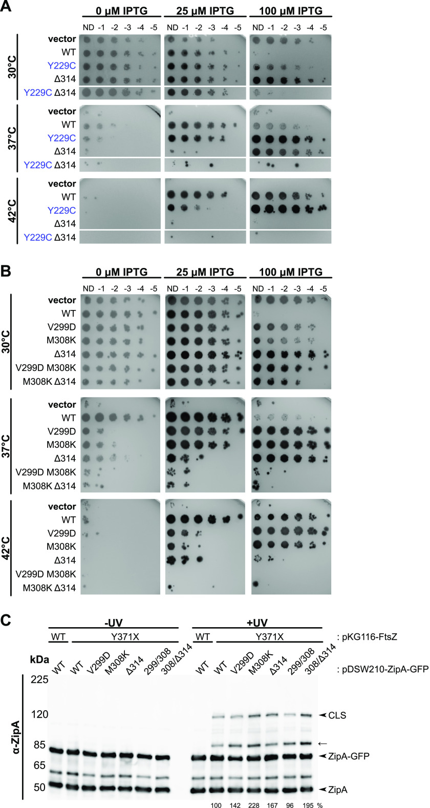 FIG 8