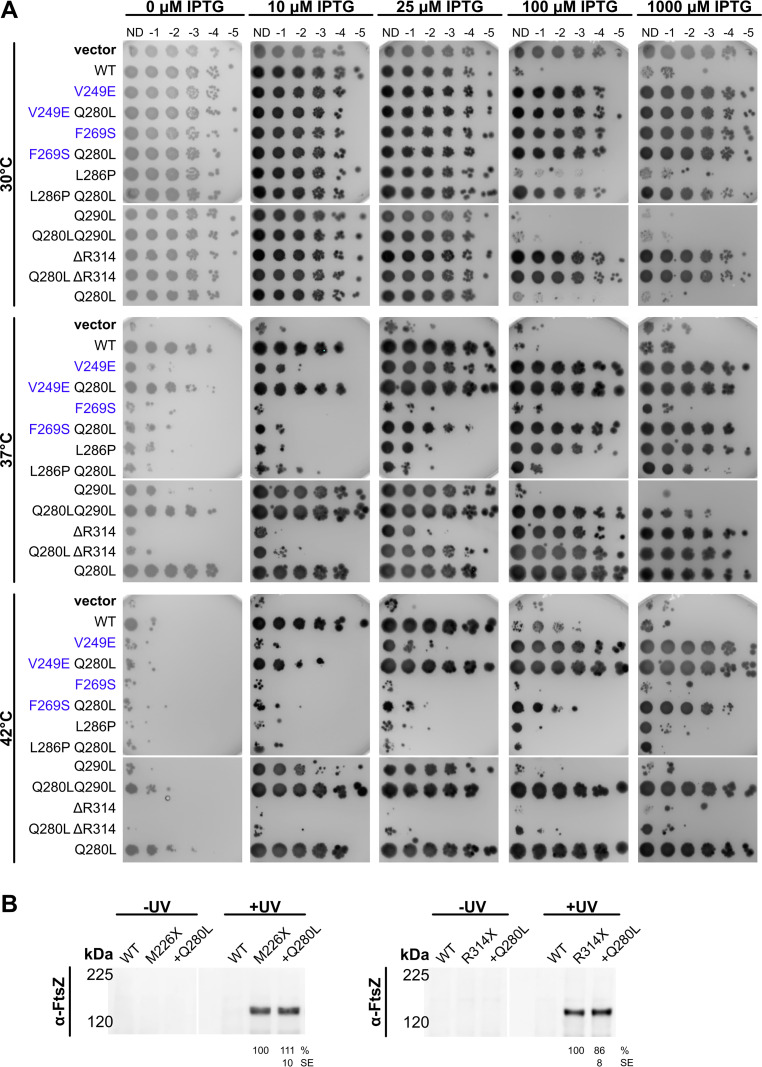 FIG 9